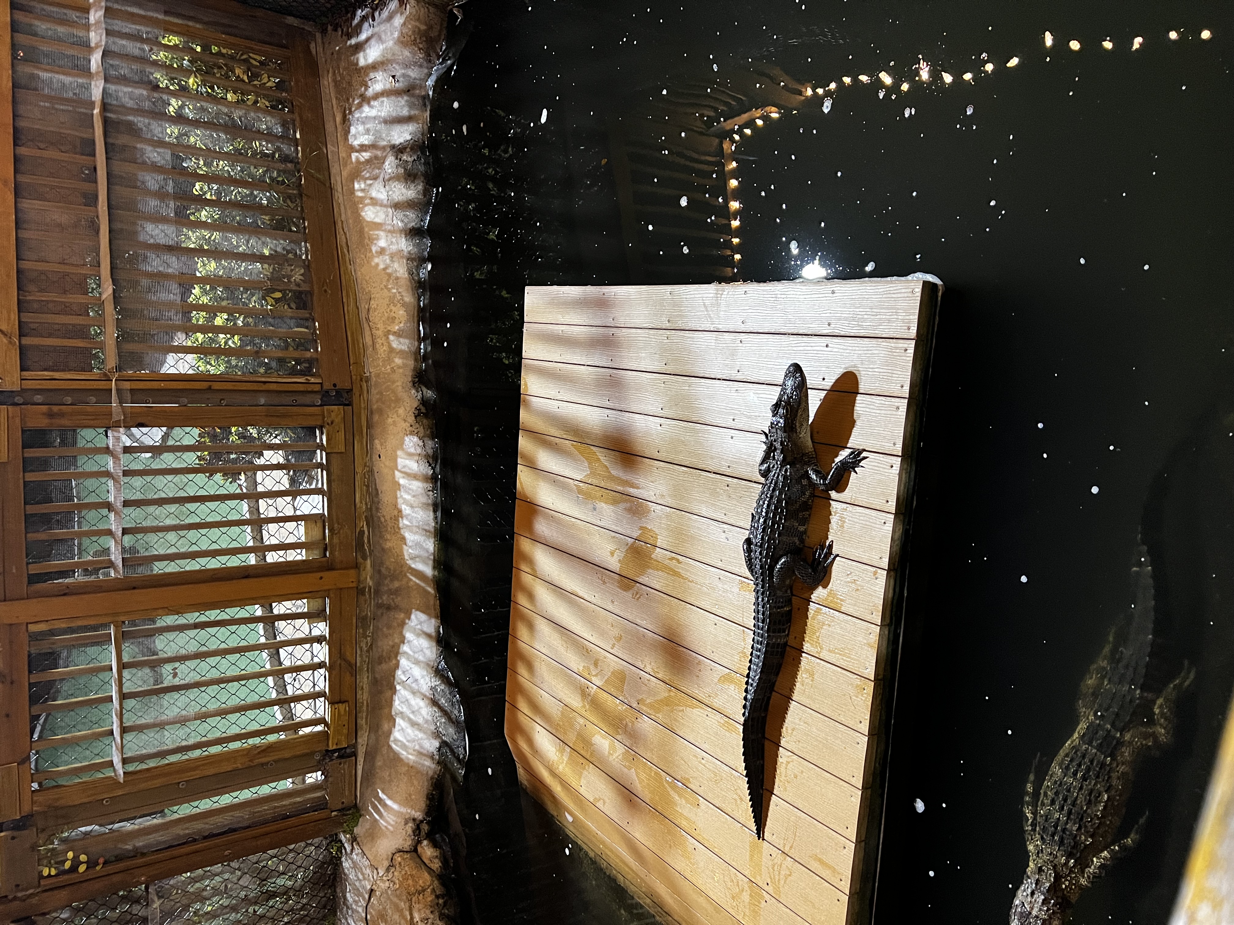 Smugglers Cove Adventure Golf