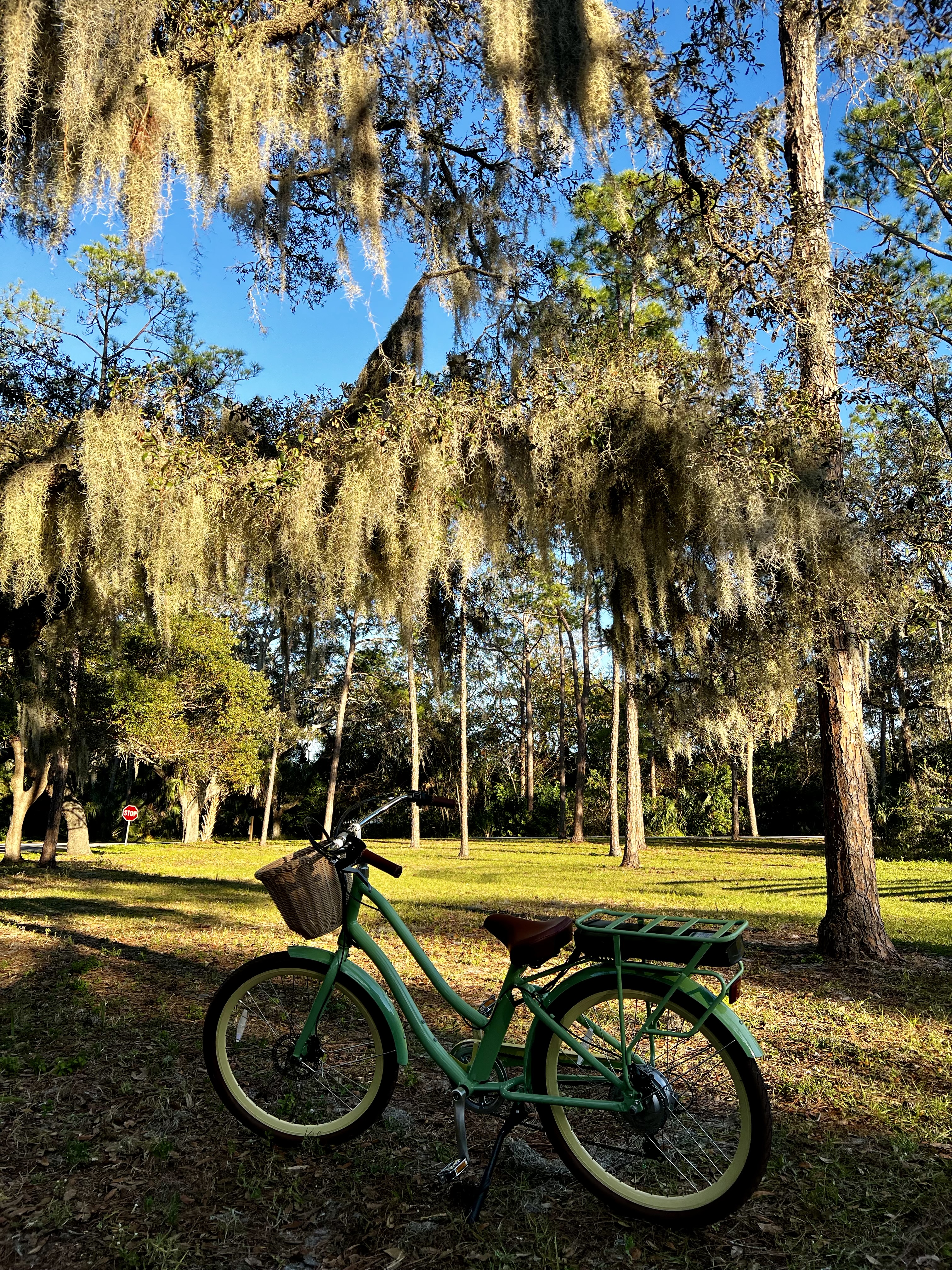 Pinellas Trail